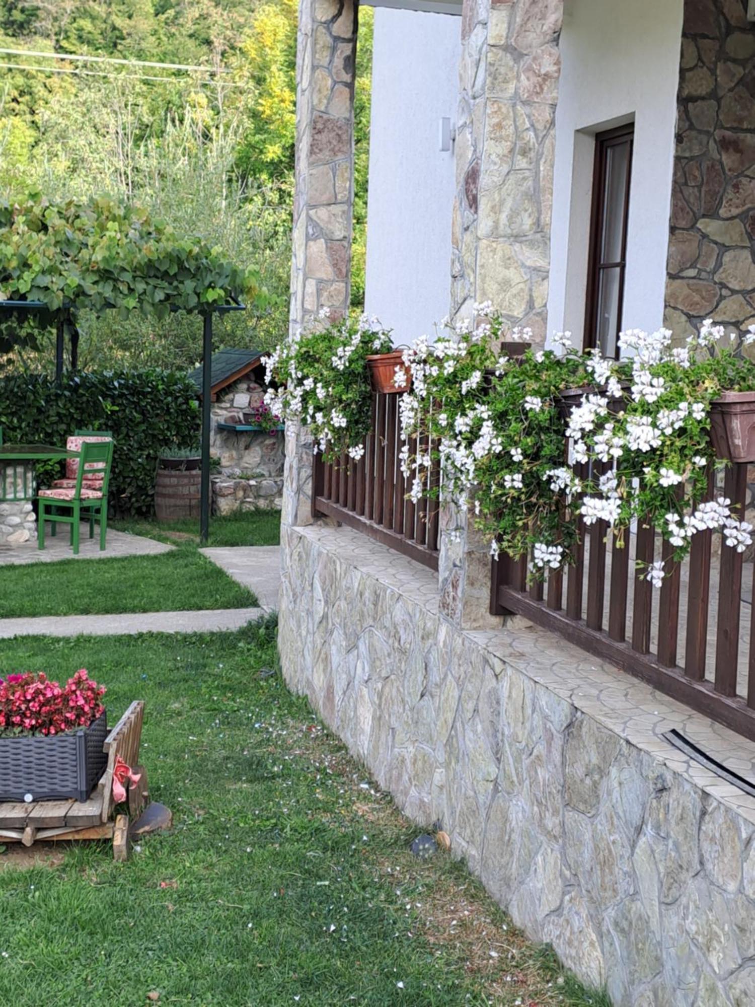 Rooms And Apartmants Mirovic Kolašin المظهر الخارجي الصورة
